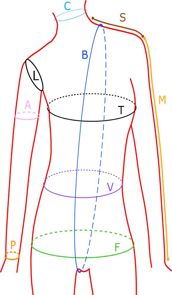 Esquema de medidas del cuerpo